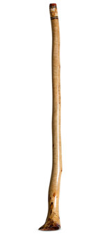 Kristian Benton Didgeridoo (KB417)